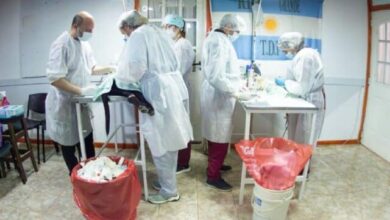 Photo of Se realizan jornadas masivas de castración y chipeo de mascotas en la zona sur de la ciudad