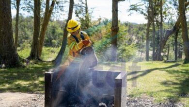 Photo of Finalizó la temporada de riesgo de incendios forestales con solo dos intervenciones