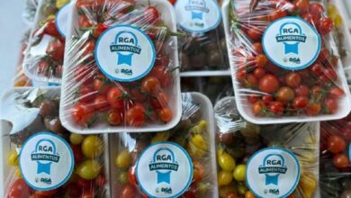 Photo of Encontrá productos de RGA Alimentos en el Expo «Emprender desde el Sur»