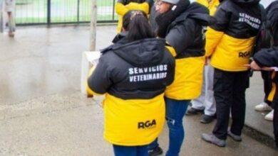 Photo of El Municipio intervino en una vivienda donde habia perros hacinados