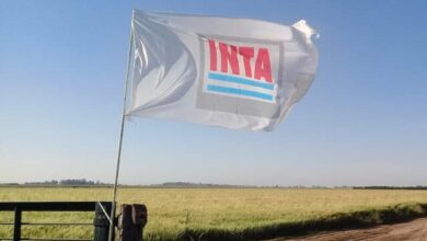 Photo of El gobierno de Javier Milei transformó el INTI y el INTA y pasarán a estar en la órbita de otros organismos