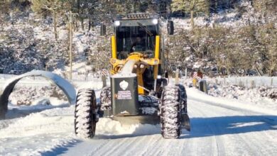 Photo of La DPV sigue realizando tareas de mantenimiento en rutas provinciales