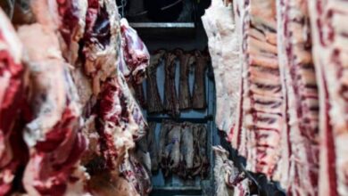 Photo of El Municipio de Río Grande expresó su rechazo al ingreso de carne con hueso a la Patagonia