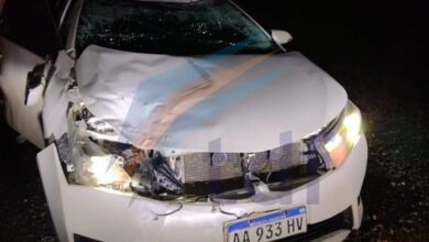 Photo of Un automóvil impactó contra un guanaco en ruta 3