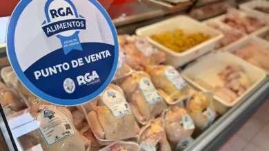 Photo of Encontrá pollos de RGA Alimentos en toda la provincia
