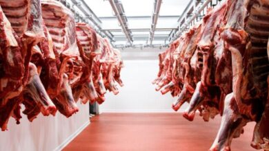 Photo of Chile suspendió la importación de carne argentina por una desregulación del Senasa
