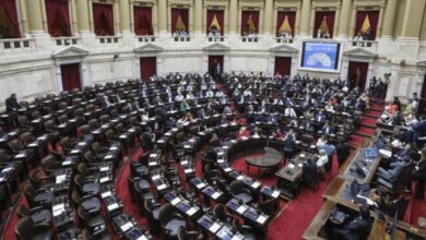 Photo of Dos diputados fueguinos votaron en contra del financiamineto universitario