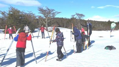 Photo of USHUAIA: EL PROGRAMA MUNICIPAL DE TERAPIA ASISTIDA CON PERROS REALIZA ACTIVIDADES AL AIRE LIBRE