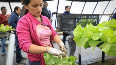 Photo of HOY SE REALIZA UNA GRAN FERIA DE PRODUCTORES LOCALES