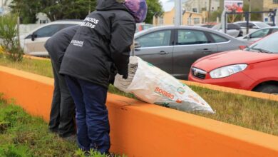 Photo of RÍO GRANDE  CONTINÚAN LOS TRABAJOS DE MANTENIMIENTO DE CANTEROS Y ESPACIOS PÚBLICOS