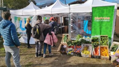 Photo of PRIMERA FERIA VEGANA EN USHUAIA