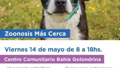 Photo of “ZOONOSIS MÁS CERCA” ESTARÁ EN EL BARRIO BAHÍA GOLONDRINA