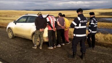 Photo of DETENIDOS EN LA RUTA 3 POR CAZA Y FAENA DE GUANACOS 