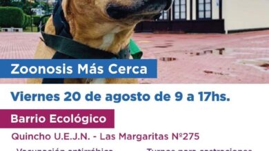 Photo of EL PROGRAMA ”ZOONOSIS MÁS CERCA” DE LA MUNICIPALIDAD DE USHUAIA ESTARÁ EN EL BARRIO ECOLÓGICO