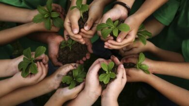 Photo of RÍO GRANDE  EL MUNICIPIO INVITA A LAS ESCUELAS A PARTICIPAR DE LAS JORNADAS DE EDUCACIÓN AMBIENTAL