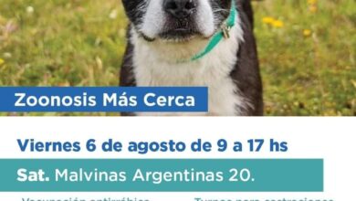 Photo of ”ZOONOSIS MÁS CERCA” TENDRÁ SU JORNADA EN LA SEDE DEL SINDICATO ARGENTINO DE TELEVISIÓN