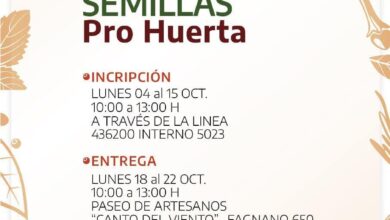 Photo of ESTÁN ABIERTAS LAS INSCRIPCIONES PARA LA 2° ENTREGA DE KITS DE SEMILLAS DEL PROGRAMA PROHUERTA