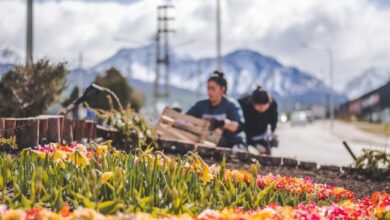 Photo of LA MUNICIPALIDAD DE USHUAIA INICIÓ LAS TAREAS DE EMBELLECIMIENTO PARA LA TEMPORADA TURÍSTICA DE VERANO