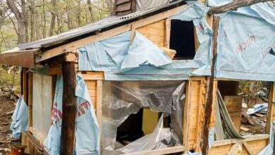 Photo of INFUETUR Y AREF EFECTUARON EL DESARME DE UNA CONSTRUCCIÓN ABANDONADA EN LA RESERVA TIERRA MAYOR