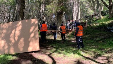 Photo of SECTOR NO URBANIZABLE SE REALIZARON 21 DESARMES VOLUNTARIOS Y 2 CON RESISTENCIA EN LOS SECTORES ALTOS