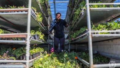 Photo of RÍO GRANDE: EL MUNICIPIO ENTREGÓ 40.000 PLANTINES A VECINOS Y VECINAS DE LA CIUDAD