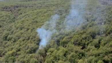 Photo of EXTINGUIERON EL INCENDIO EN LA ZONA DE LAGUNA BOMBILLA