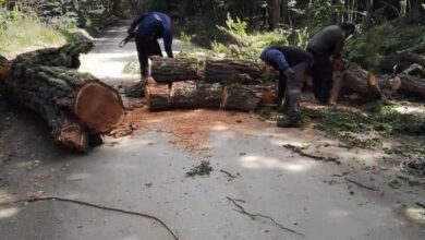 Photo of LA MUNICIPALIDAD DE USHUAIA LLEVÓ ADELANTE SERVICIOS DE DESPEJES DE CALLE POR LOS FUERTES VIENTOS