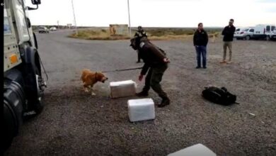 Photo of FRENAN UN IMPORTANTE CARGAMENTO DE DROGAS CON DESTINO A TIERRA DEL FUEGO