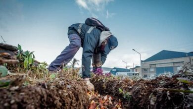 Photo of TRABAJOS DE LIMPIEZA Y EMBELLECIMIENTO EN USHUAIA