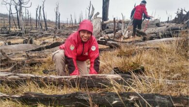 Photo of RESTAURACIÓN DE BOSQUE NATIVO: SE PREVÉ PLANTAR MÁS DE 13.600 PLANTAS Y ALCANZAR UN TOTAL DE 140000 M2