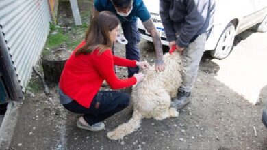 Photo of ”ZOONOSIS MÁS CERCA” ESTUVO EN EL DOS BANDERAS