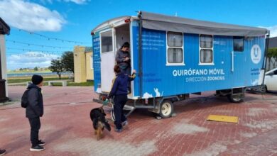 Photo of “ZOONOSIS MÁS CERCA” ESTARÁ TODOS LOS MARTES EN EL PASEO DE LAS ROSAS