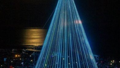 Photo of ENCENDIDO DEL ARBOL DE NAVIDAD EN RÍO GRANDE