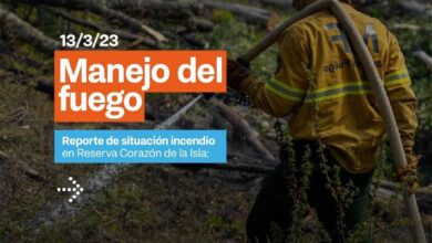 Photo of ESTADO DE SITUACIÓN DE LOS INCENDIOS EN LA PROVINCIA