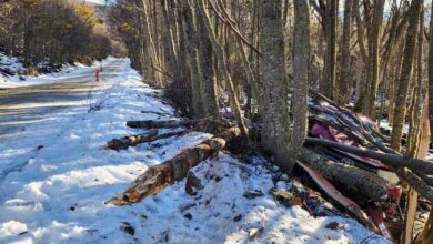 Photo of Despiste y Colisión en Ruta J: Vehículo Toyota Hilux involucrado