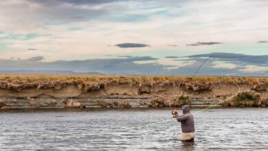 Photo of SE INICIA LA TEMPORADA DE PESCA DEPORTIVA 2023-2024