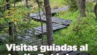 Photo of LA MUNICIPALIDAD DE USHUAIA INVITA A CONOCER LA BELLEZA DEL JARDÍN BOTÁNICO DEL CERRO BONETE