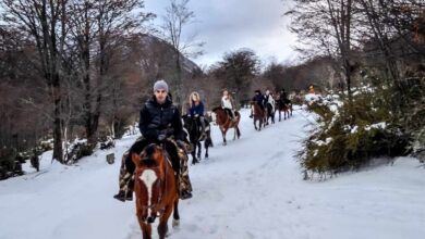 Photo of FIESTA NACIONAL NOCHE MÁS LARGA: VECINOS Y VECINAS DISFRUTARON DE LAS EXCURSIONES EN CABALGATA