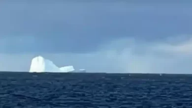 Photo of Alerta en Ushuaia por la presencia de un iceberg cerca de la costa