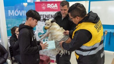 Photo of El Municipio realizará una nueva jornada de vacunación antirrábica y chipeo