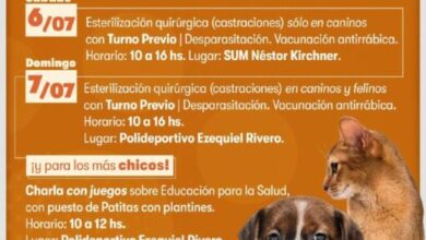 Photo of Tolhuin lanza la Primera Campaña de Salud Pública Veterinaria