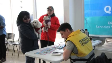 Photo of Este sábado se realizará una nueva jornada de castración en Río Grande