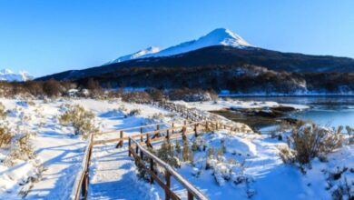 Photo of Cierran preventivo del Parque Nacional Tierra del Fuego por hielo lavado