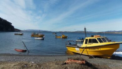 Photo of Lapadula pidió “dar discusión productiva” sobre las salmoneras y “ver la posibilidad se pueda hacer teniendo el mínimo impacto ambiental”