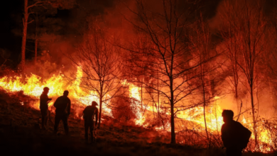 Photo of Javier Milei viaja a Córdoba por los incendios