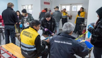 Photo of Más de 300 intervenciones en la jornada de vacunación antirrábica y chipeo