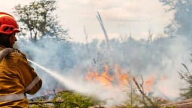 Photo of Comenzó la temporada de alto riesgo de incendios forestales en Tierra del Fuego