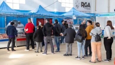 Photo of El Mercado Municipal abre este domingo en los barrios de margen sur