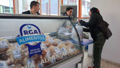 Photo of Rga Alimentos: Se vendieron pollos en toda la provincia