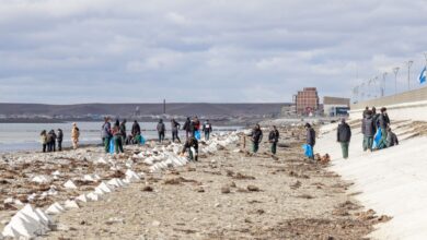 Photo of Se realizó una jornada de limpieza en la playa de Río Grande